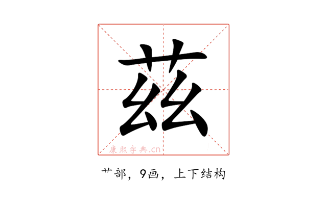 茲