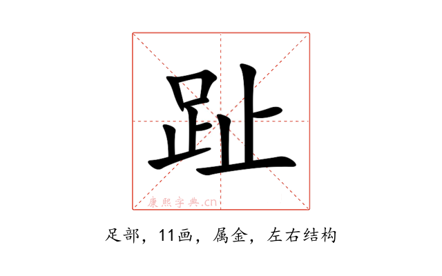 趾