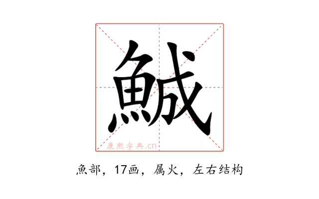 鯎