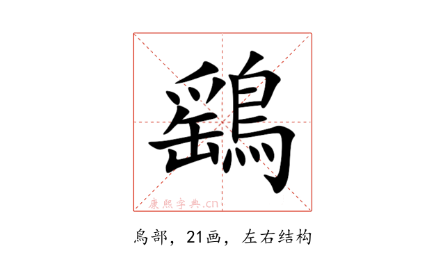 鷂