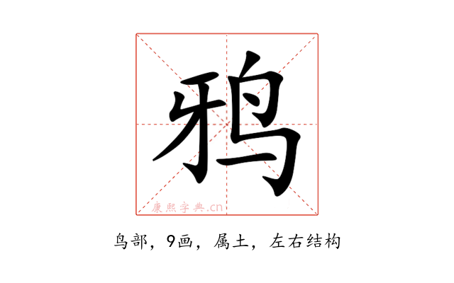鸦