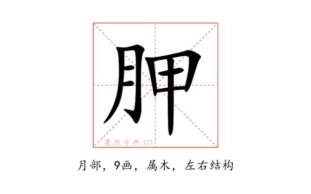胛