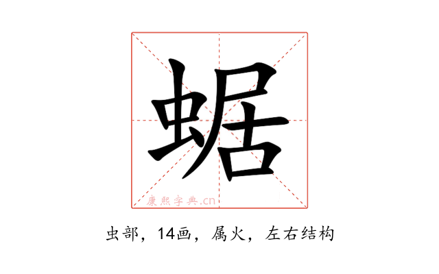 蜛