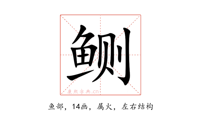 鲗