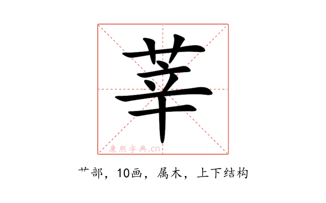 莘