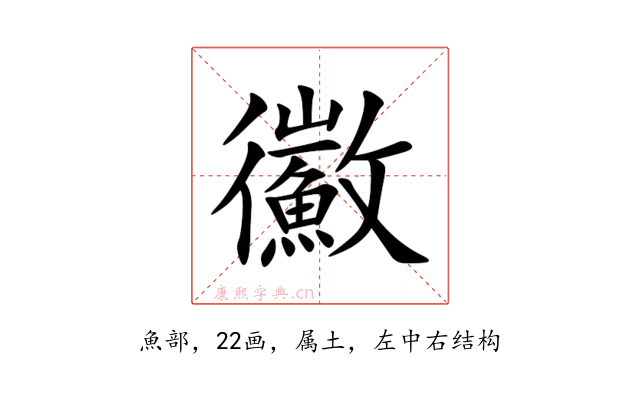 鰴