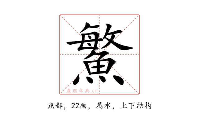 鰵
