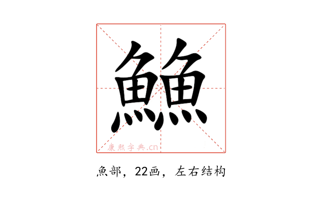 䲆