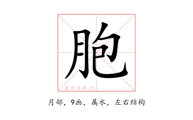 胞