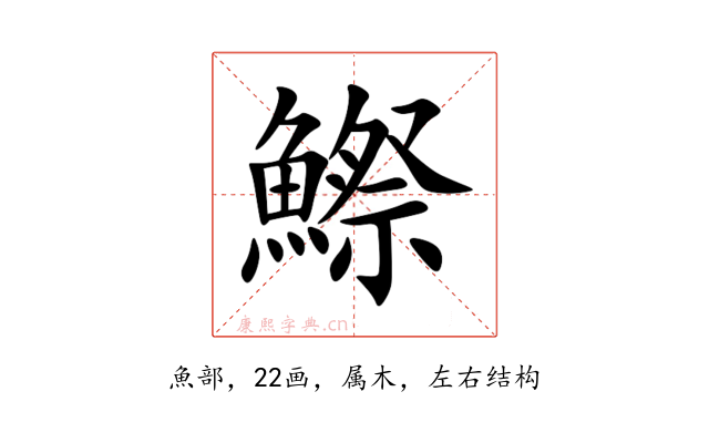 鰶