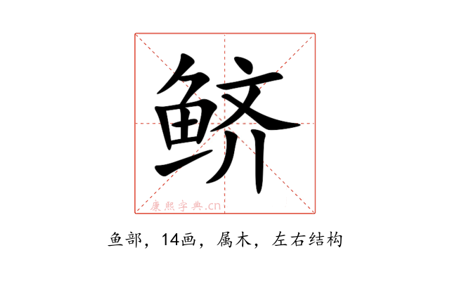 鲚