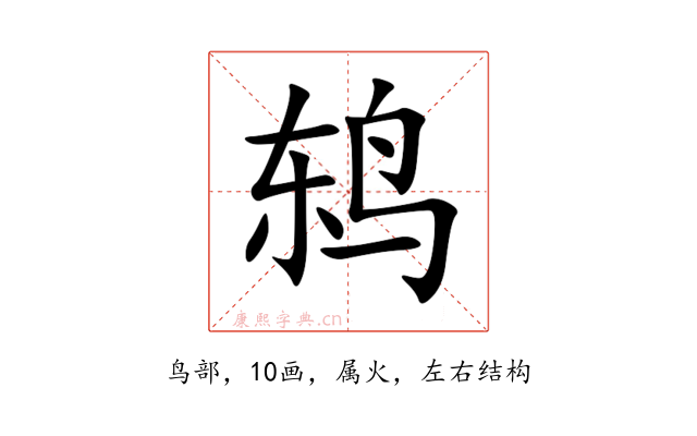 鸫