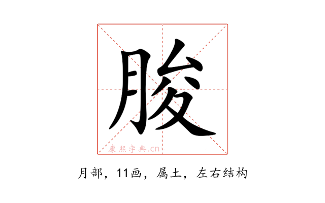 朘