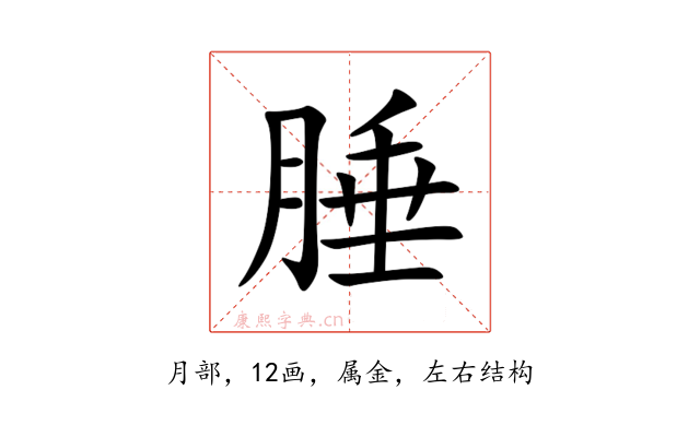 腄