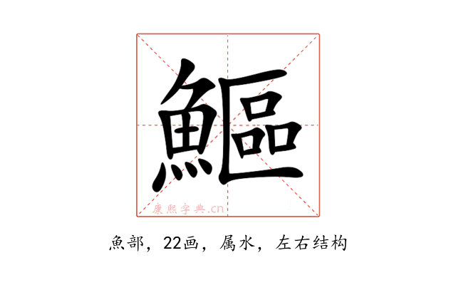 鰸