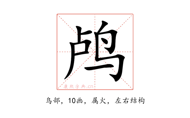 鸬