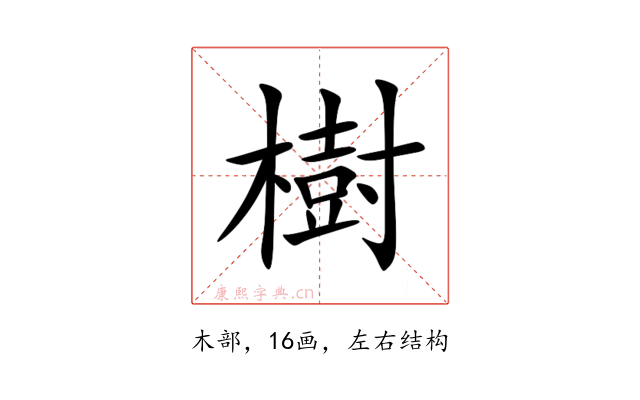 樹