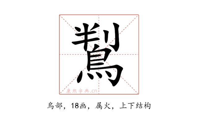 鵥