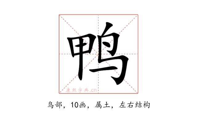 鸭