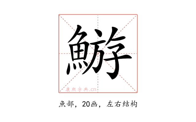 𩹊