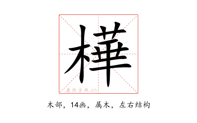 樺