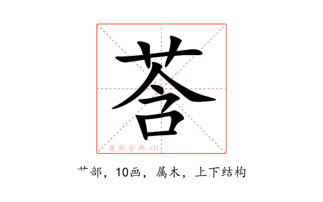 莟