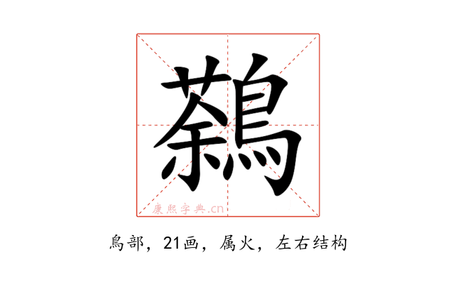 鷋