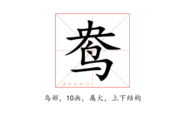 鸯
