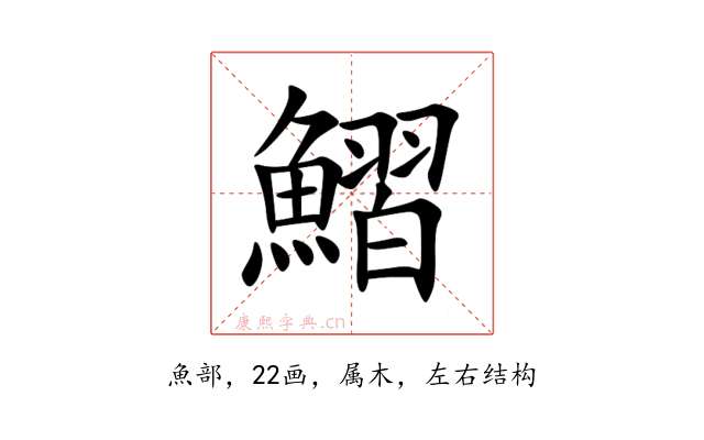 鰼