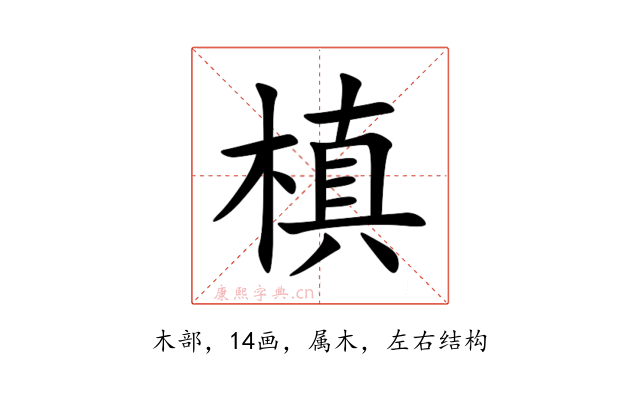 槙