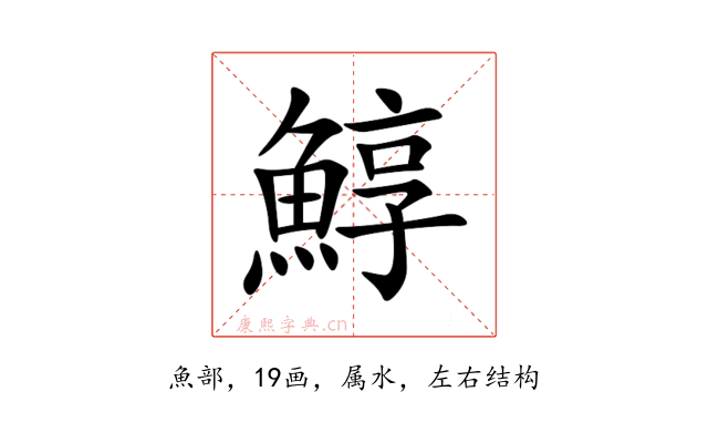 鯙