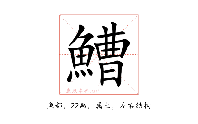 鰽