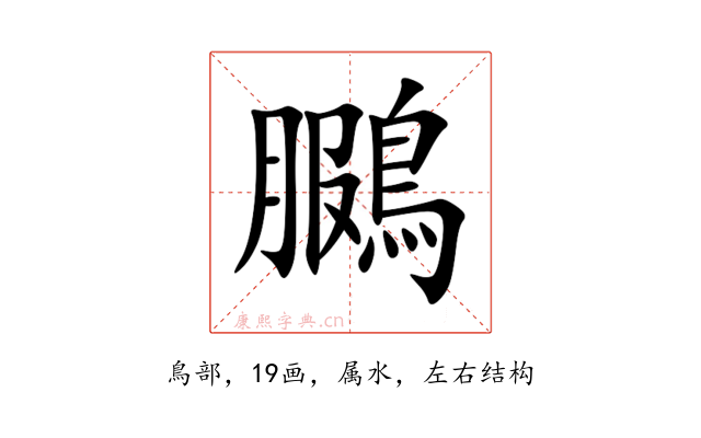 鵩