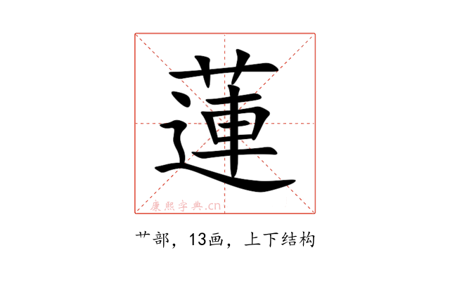 蓮