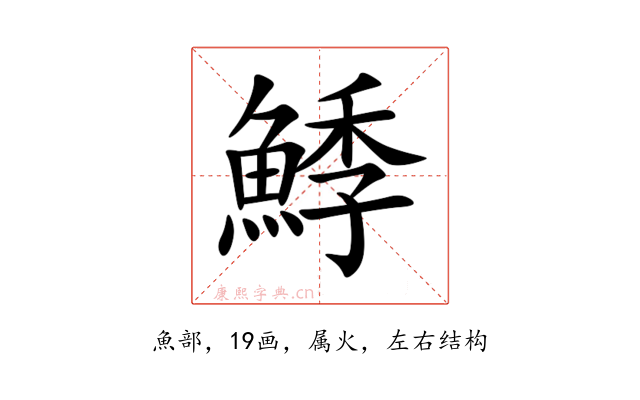 鯚
