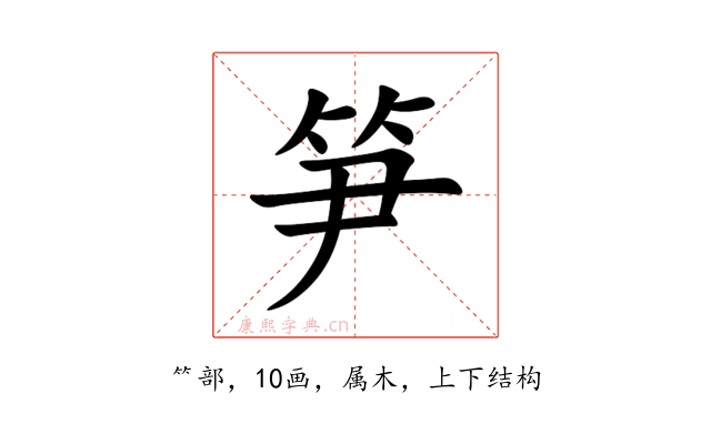 笋