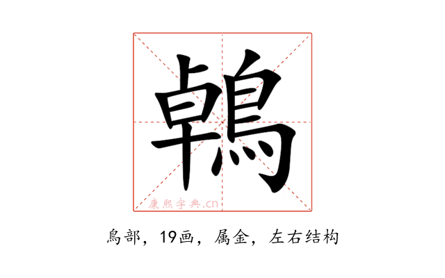 鵫