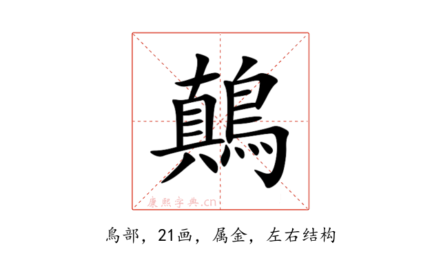 鷏