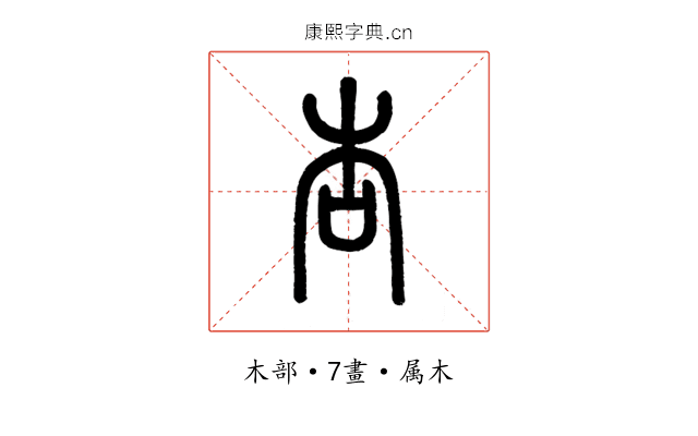 杏