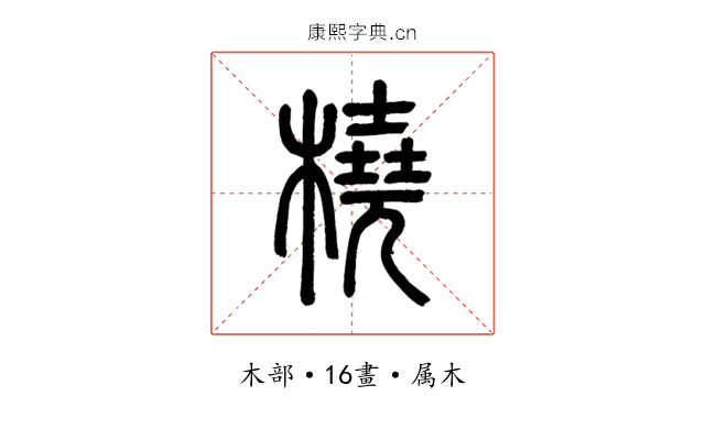 橈