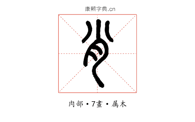 肖