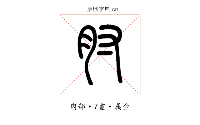 肘
