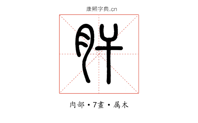 肝