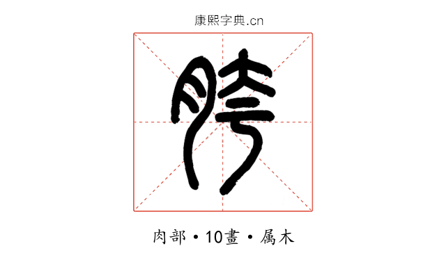 胯