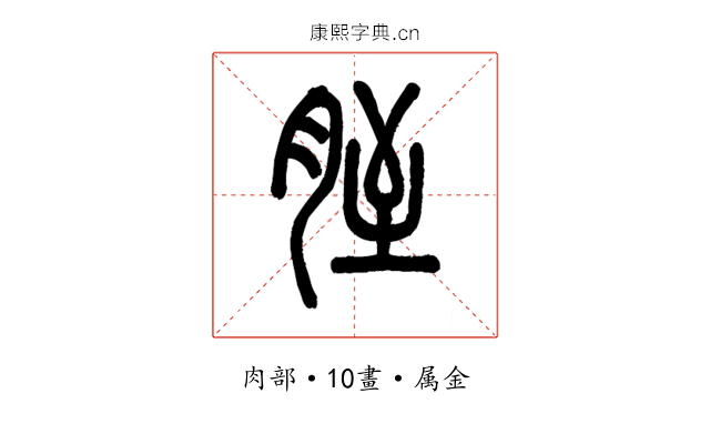 胵