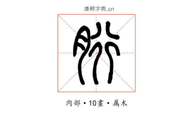 胻