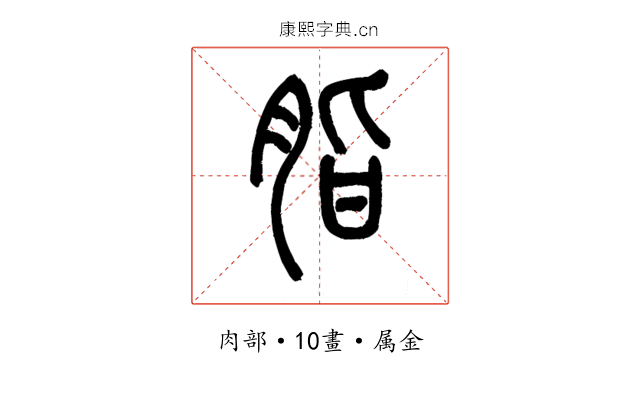 脂