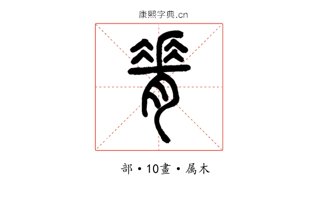 脊