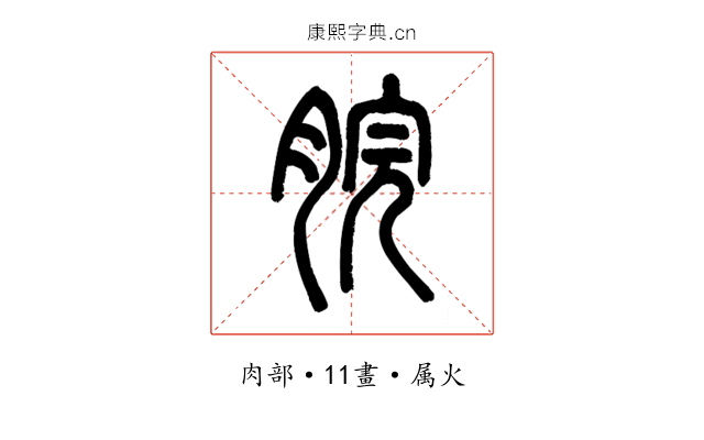 脘