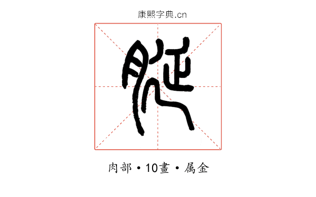 脠
